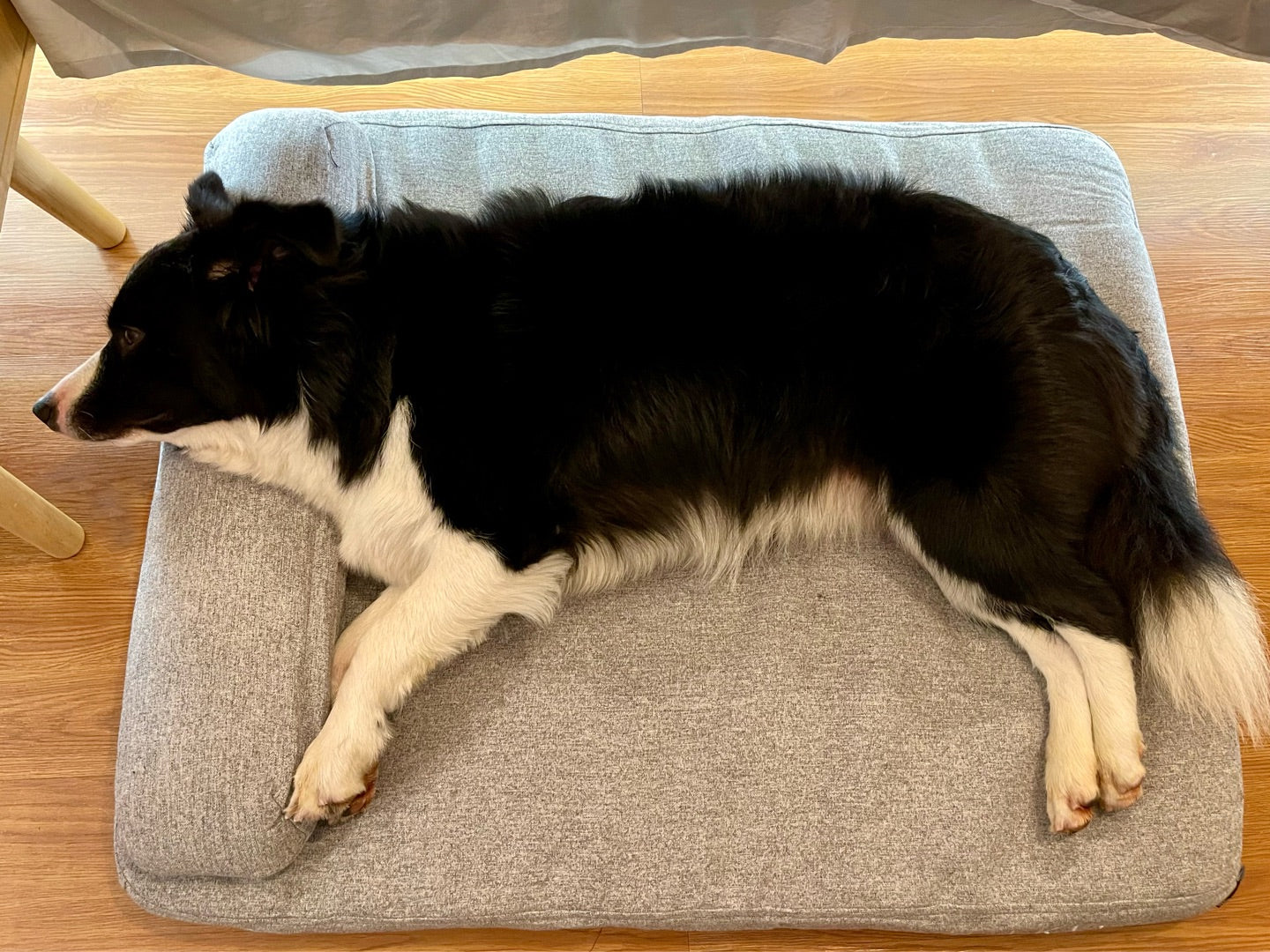 Dog Big Mat for Puppy Dogs Sleeping Rest Pad Bed Mat